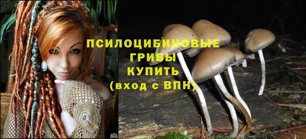 меф Армянск