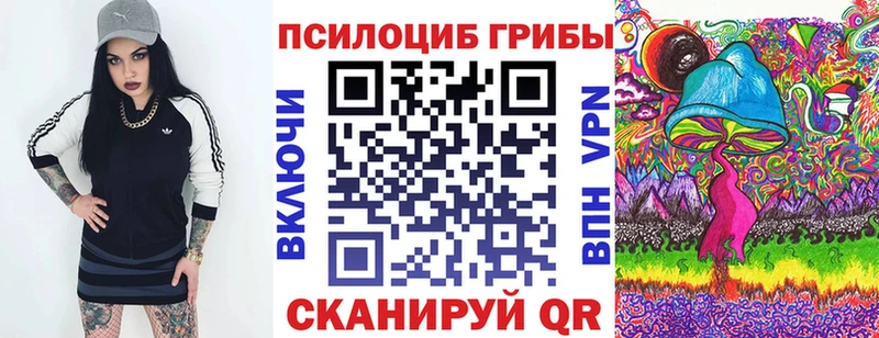 Псилоцибиновые грибы Cubensis  Полысаево 