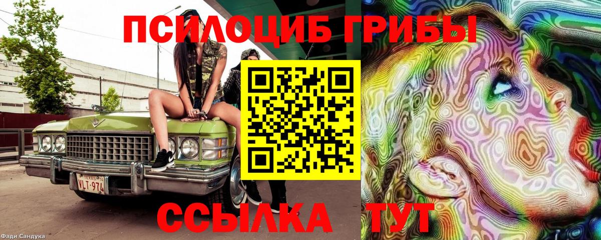 Галлюциногенные грибы MAGIC MUSHROOMS Полысаево