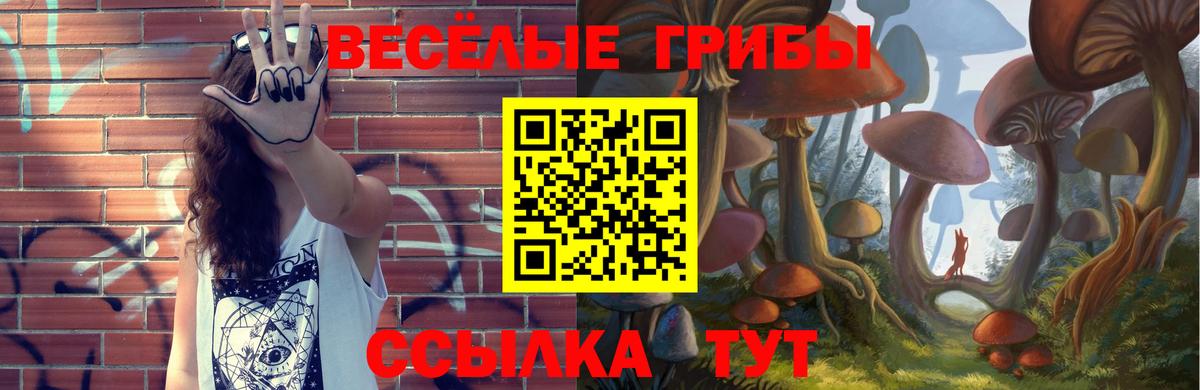где купить наркоту  Вход с VPN  Галлюциногенные грибы прущие грибы  Полысаево  Псилоцибиновые грибы мицелий 
